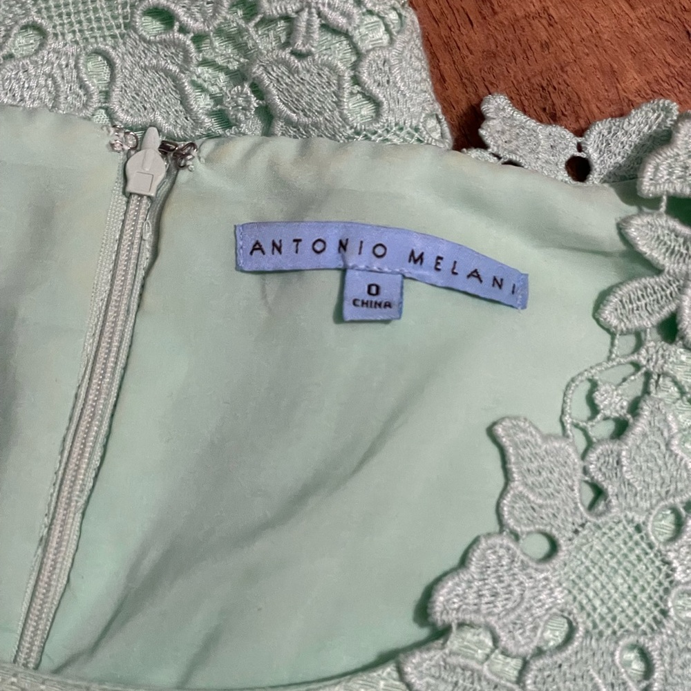Antonio Melani Mint Green MIDI Dress - Picture 8 of 16